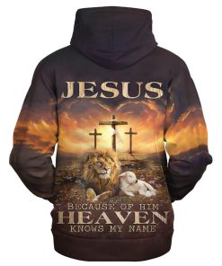 Christian Premium Microfleece Hoodie | Faith-Inspired Apparel HBLGO46