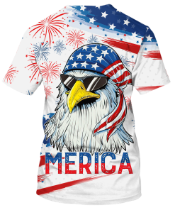 INDEPENDENCE HBL-USI-01 Premium T-Shirt