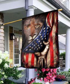 Lion And American Flag H02 Lion And American Flag H02