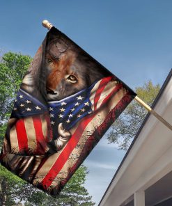 Lion And American Flag H02